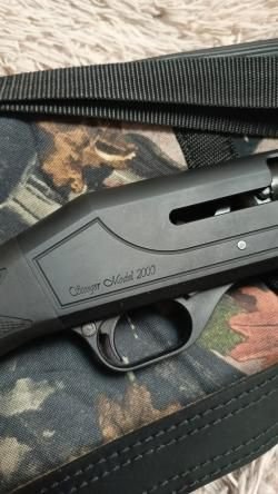 Стоеджер 2000