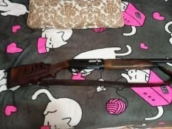 Стоеджер 3000