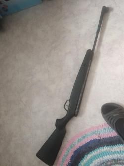 Stoeger 10