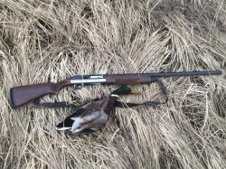 Stoeger 2000 deluxe с доп прикладом и цевьем