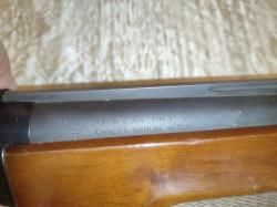 Stoeger 2000