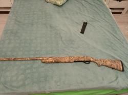Stoeger 2000