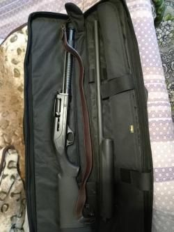 Stoeger 2000a