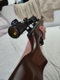 stoeger a30 wood +Оптический прицел Gamo 3-9x40EG, Mil-Dot, подсветка