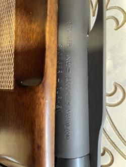Stoeger M300