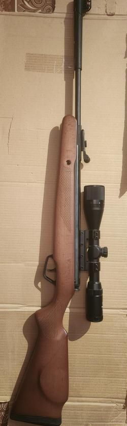 Stoeger x10
