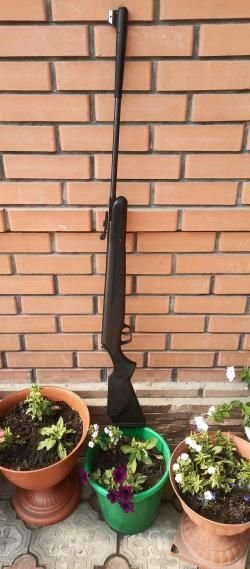 Stoiger x50