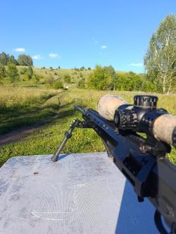 Субминутный тигр