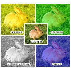 Прицел ночного и дневного видения NV076-35-940 Plus Vision 37 850