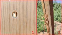 FT 9PA (Tanfoglio INNA) к.9мм Р.А. (2010) Италия