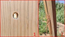 FT 9PA (Tanfoglio INNA) к.9мм Р.А. (2010) Италия