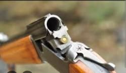 Тайга 94 12х223рем