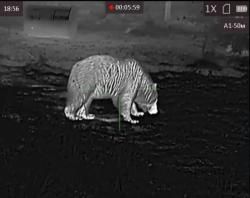 Тепловизионный прицел ARKON ALFA LT35