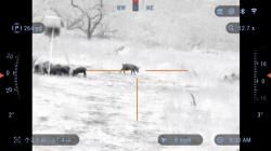 Тепловизионный прицел ATN mars 4 384 2-8x