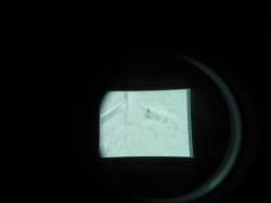 Тепловизионный прицел Coyote-PS ITL Optronics