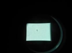 Тепловизионный прицел Coyote-PS ITL Optronics