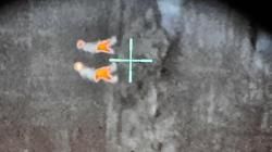 Тепловизионный прицел dedal-t2.380 hanter 