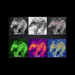 Тепловизионный прицел Guide TR450