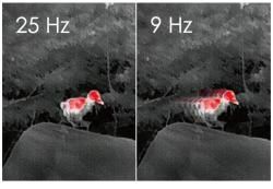 Тепловизор iRay DV DP09