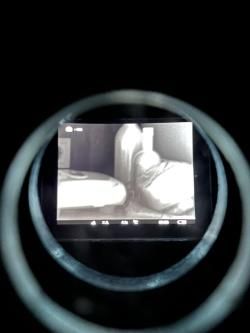 тепловизор  pulsar helion xq50f 