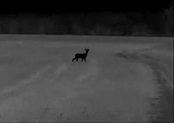 Тепловизор Sytong RM 06-50 LRF