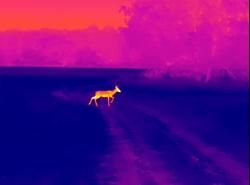 Тепловизор Sytong RM 06-50 LRF