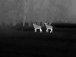 Тепловизор Sytong RM 06-50 LRF