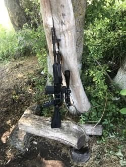 TG2 Magnum