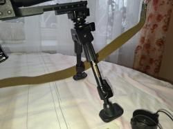 тигр 01