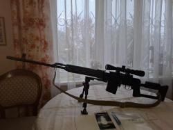 тигр 01