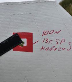 Тигр 7,62x54R исп. 02 L-530мм