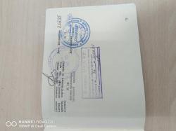 Тигр 1995год.супер