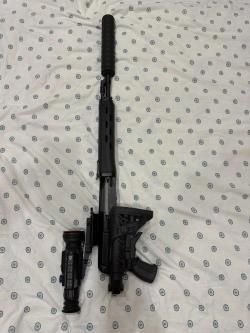 Тигр 308