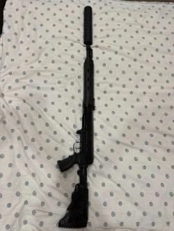 Тигр 308