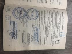 Тигр 9,3*64 LEGION