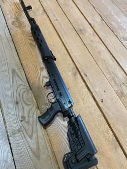 Тигр короткий