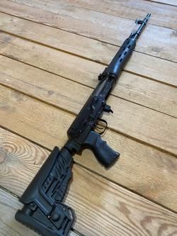 Тигр короткий