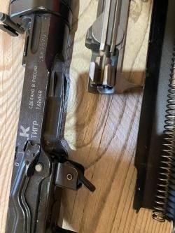 Тигр короткий