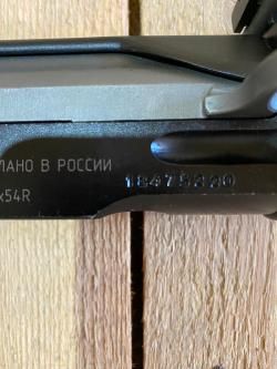 Тигр короткий