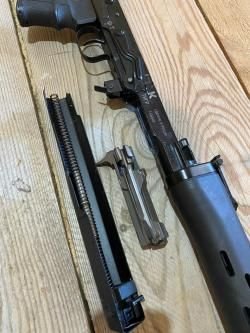 Тигр короткий