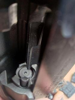 Тигр экспортный «Вермонт» 