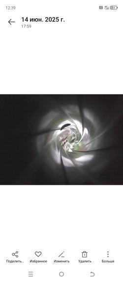 Тигр экспортный «Вермонт» 