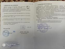 Тигр исполнение 05