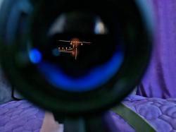 ТИГР КОРОТКИЙ