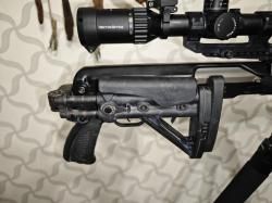 Тигр коротыш в обвесе