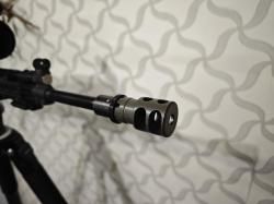 Тигр коротыш в обвесе