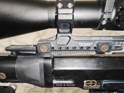 Тигр коротыш в обвесе