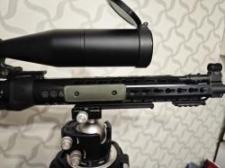 Тигр коротыш в обвесе