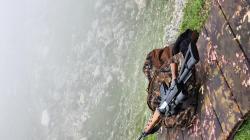 Тигр ЛЕГИОН