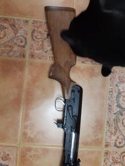 ТИГР Легион